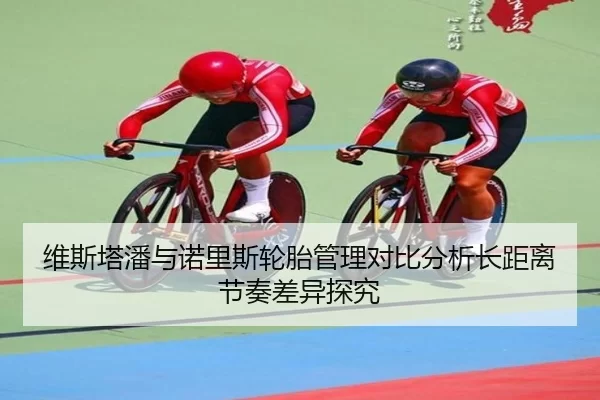 维斯塔潘与诺里斯轮胎管理对比分析长距离节奏差异探究