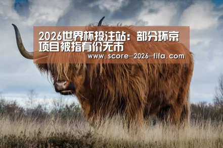 2026世界杯投注站