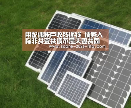 用配偶账户收钱还钱 债务人称非共签共债不是夫妻共同债务 律师:错_2026世界杯竞猜(图1) 2026世界杯投注站